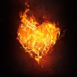 Meet your Posher, Allie